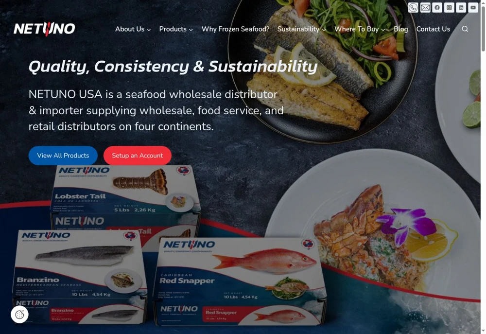 NETUNO USA website design
