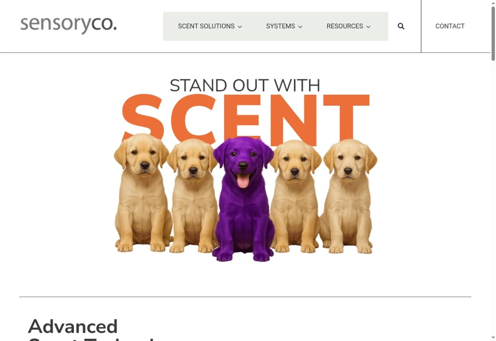 SensoryCo homepage preview